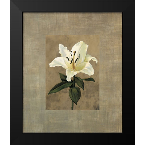 Lily Black Modern Wood Framed Art Print by Trivelli, Andrea