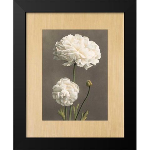 Dalie Black Modern Wood Framed Art Print by Trivelli, Andrea