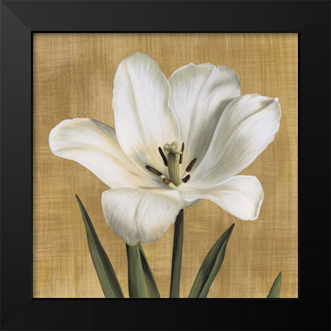 Tulipano Black Modern Wood Framed Art Print by Trivelli, Andrea