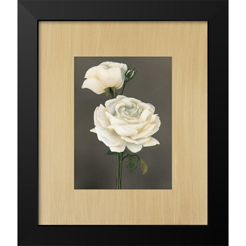 Rose Black Modern Wood Framed Art Print by Trivelli, Andrea