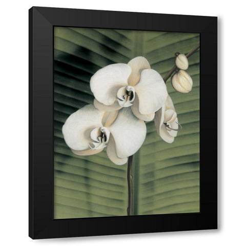 Orchid with Palm II Black Modern Wood Framed Art Print with Double Matting by Trivelli, Andrea