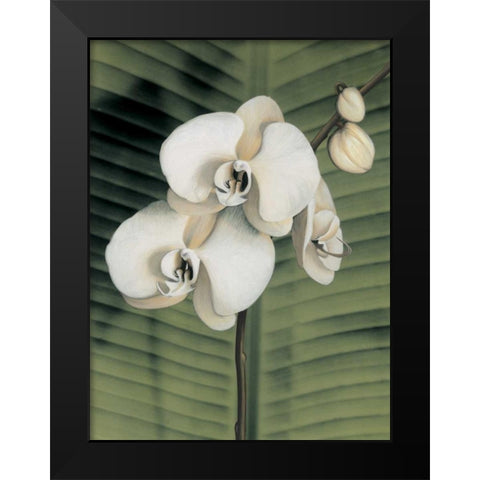 Orchid with Palm II Black Modern Wood Framed Art Print by Trivelli, Andrea