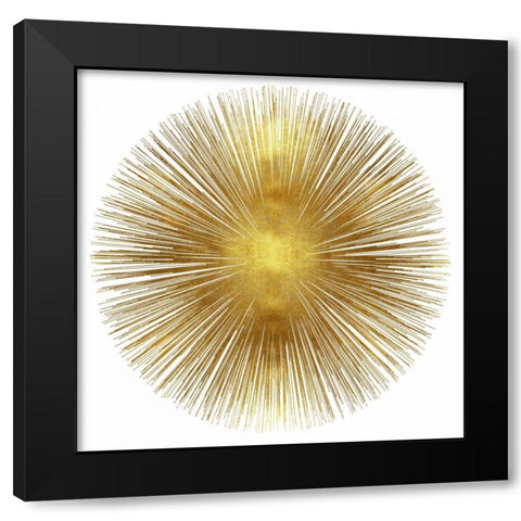 Sunburst I Black Modern Wood Framed Art Print with Double Matting by Young, Abby