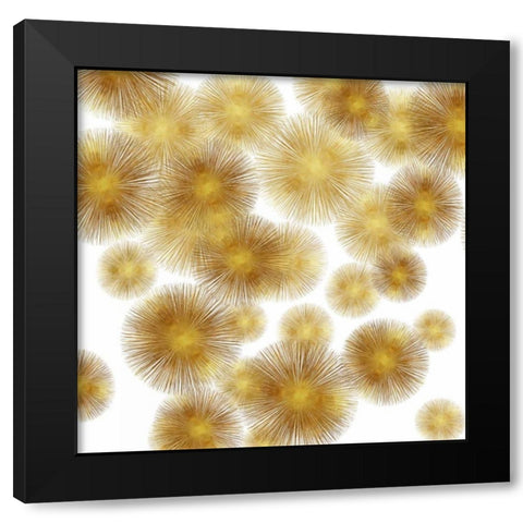 Golden Sunbursts Black Modern Wood Framed Art Print by Young, Abby
