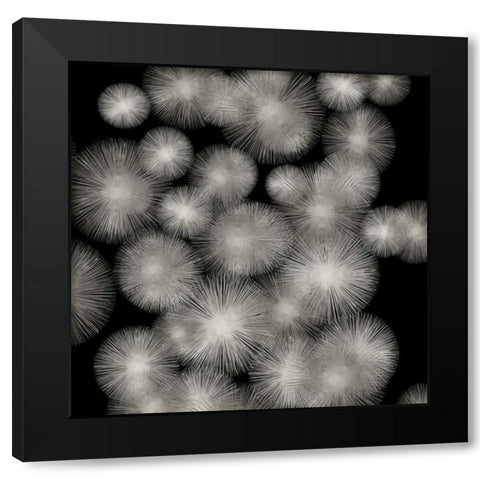 Silver Sunbursts Black Modern Wood Framed Art Print with Double Matting by Young, Abby