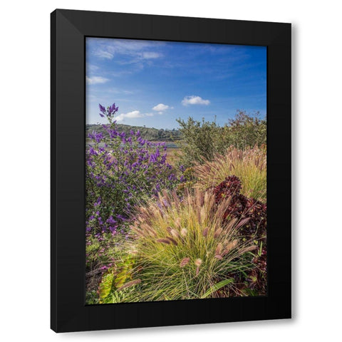 Spring at Lagoon Black Modern Wood Framed Art Print with Double Matting by Markoff, Barbara