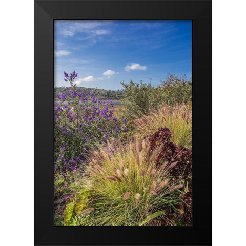Spring at Lagoon Black Modern Wood Framed Art Print by Markoff, Barbara