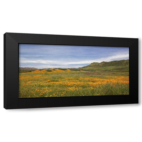 Spring Vista with Wildflowers Black Modern Wood Framed Art Print with Double Matting by Markoff, Barbara