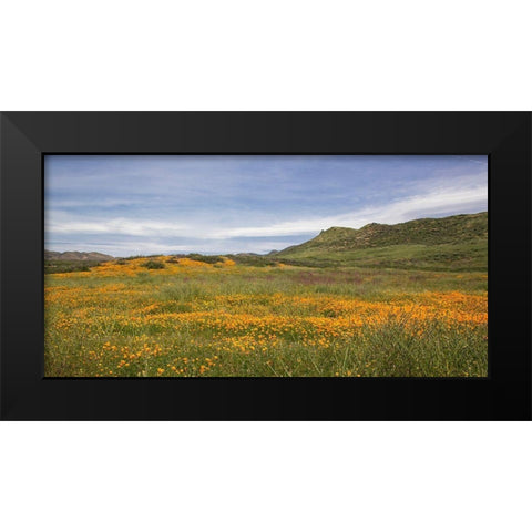 Spring Vista with Wildflowers Black Modern Wood Framed Art Print by Markoff, Barbara
