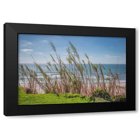 Grasses at Seagrove Park Black Modern Wood Framed Art Print with Double Matting by Markoff, Barbara