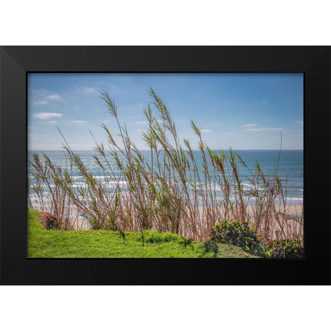 Grasses at Seagrove Park Black Modern Wood Framed Art Print by Markoff, Barbara