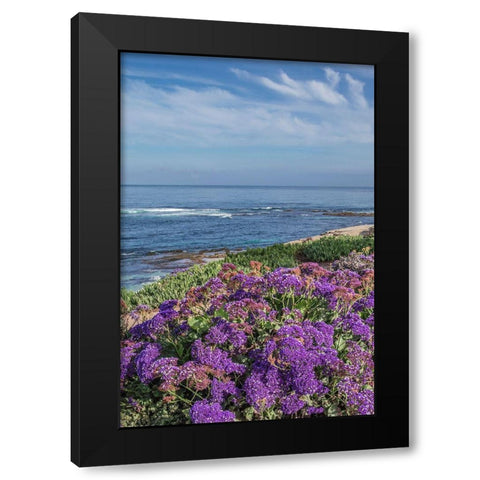 Static Blooms at Beach Black Modern Wood Framed Art Print with Double Matting by Markoff, Barbara
