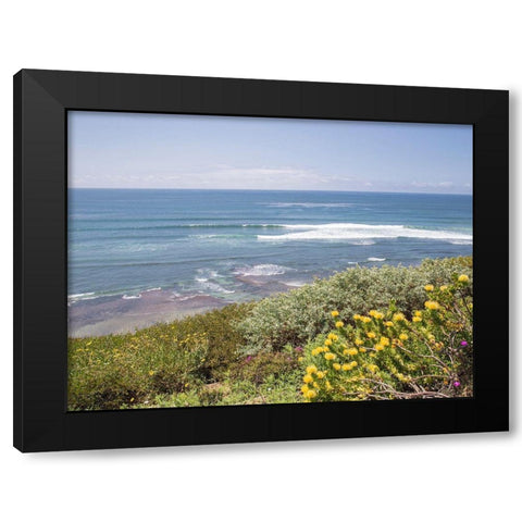 Surf and Protea, Encinitas Black Modern Wood Framed Art Print with Double Matting by Markoff, Barbara