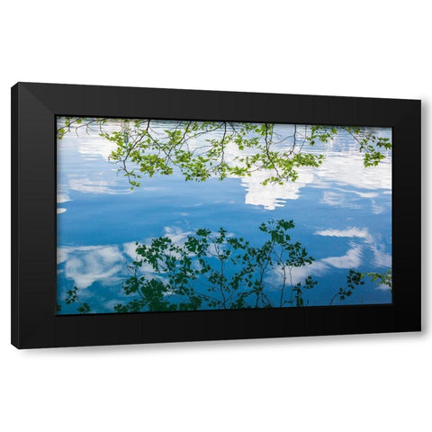 Branch Reflections I Black Modern Wood Framed Art Print with Double Matting by Markoff, Barbara
