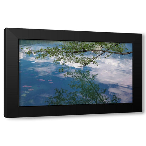 Branch Reflectons II Black Modern Wood Framed Art Print with Double Matting by Markoff, Barbara