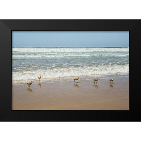 Birds at La Jolla Shores Black Modern Wood Framed Art Print by Markoff, Barbara