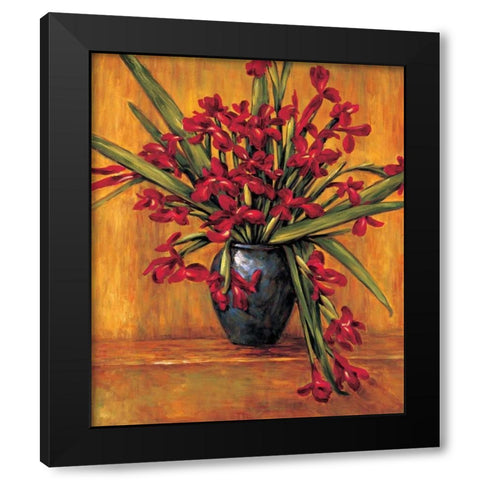 Red Irises Black Modern Wood Framed Art Print by Francis, Brian