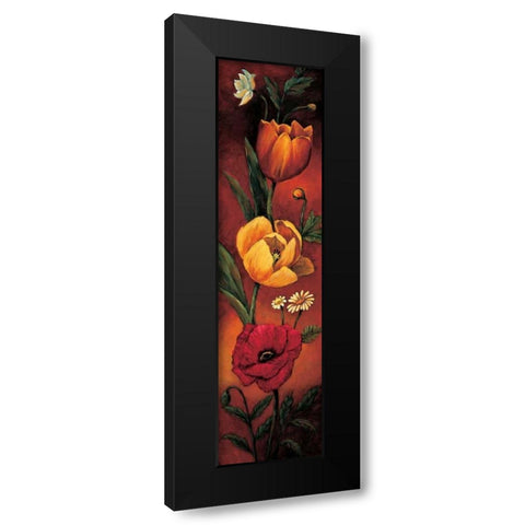 The Flower Garden II Black Modern Wood Framed Art Print by Francis, Brian