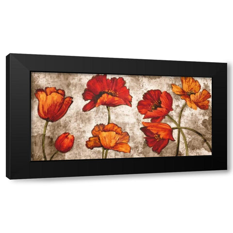 Poppy Paradise Black Modern Wood Framed Art Print by Francis, Brian