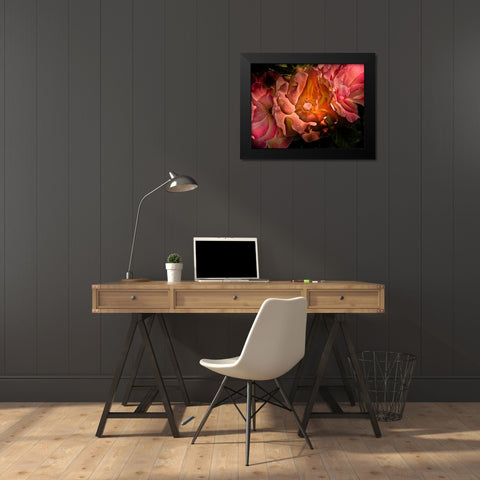 Pink Camelia II Black Modern Wood Framed Art Print by Carson, Brian