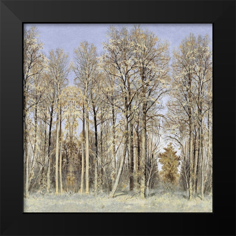 Entrance to the Woods Black Modern Wood Framed Art Print by McKee, Christy