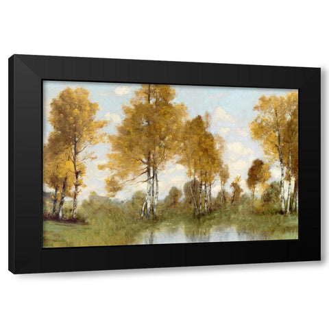 Golden Tree Pond I Black Modern Wood Framed Art Print with Double Matting by McKee, Christy