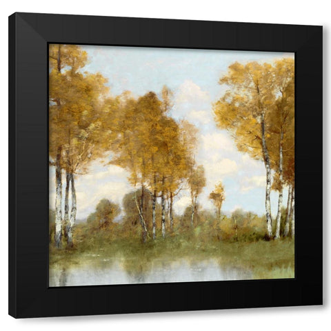 Golden Tree Pond II Black Modern Wood Framed Art Print with Double Matting by McKee, Christy