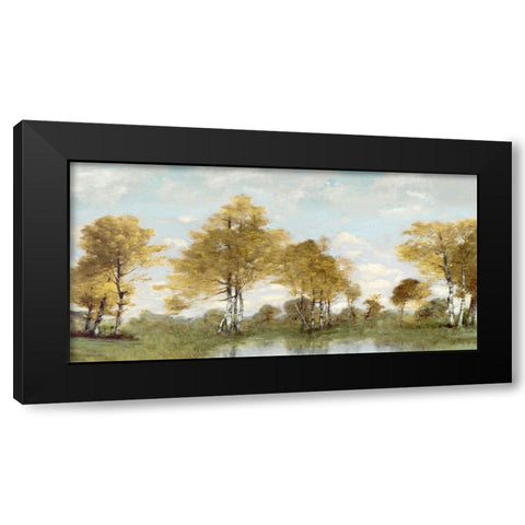 Golden Tree Pond IV Black Modern Wood Framed Art Print by McKee, Christy
