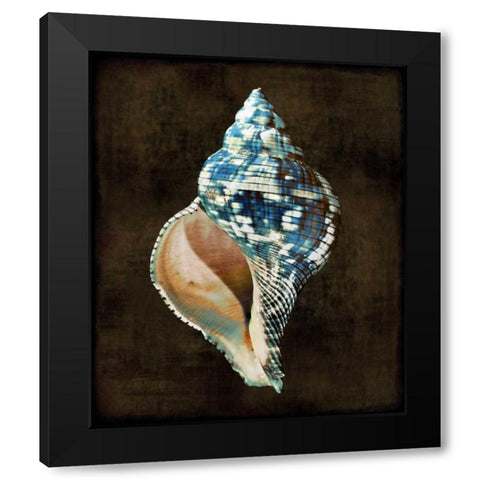 Ocean Treasure III Black Modern Wood Framed Art Print with Double Matting by Kelly, Caroline