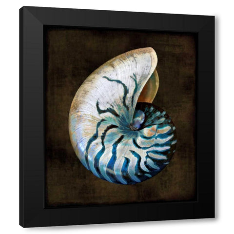 Ocean Treasure IV Black Modern Wood Framed Art Print by Kelly, Caroline