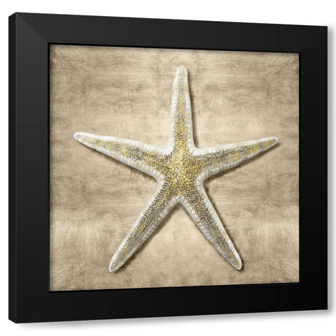 Golden Sea Life I Black Modern Wood Framed Art Print with Double Matting by Kelly, Caroline