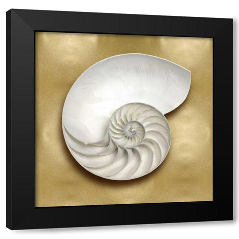 Ocean Gem on Gold II Black Modern Wood Framed Art Print with Double Matting by Kelly, Caroline