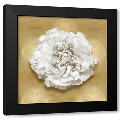 Pure II Black Modern Wood Framed Art Print by Kelly, Caroline