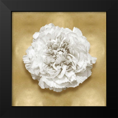 Pure II Black Modern Wood Framed Art Print by Kelly, Caroline