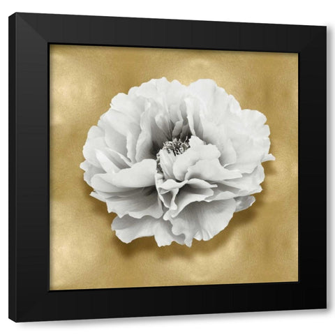 Pure III Black Modern Wood Framed Art Print by Kelly, Caroline