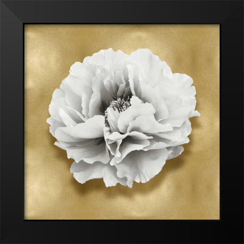 Pure III Black Modern Wood Framed Art Print by Kelly, Caroline