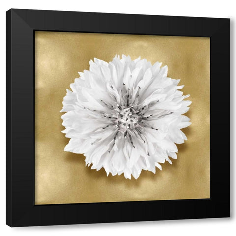Pure IV Black Modern Wood Framed Art Print with Double Matting by Kelly, Caroline