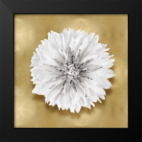 Pure IV Black Modern Wood Framed Art Print by Kelly, Caroline