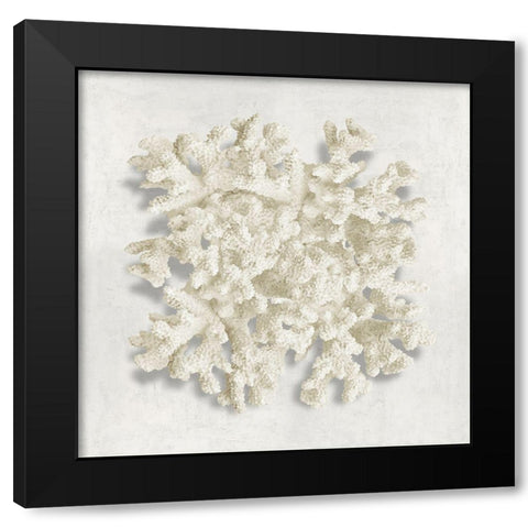 Coral II Black Modern Wood Framed Art Print by Kelly, Caroline