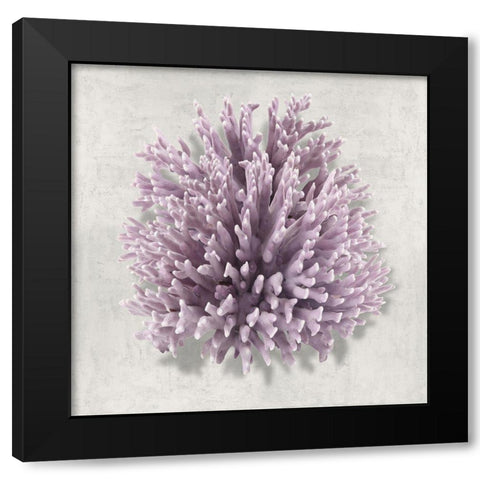 Coral Amethyst I Black Modern Wood Framed Art Print by Kelly, Caroline