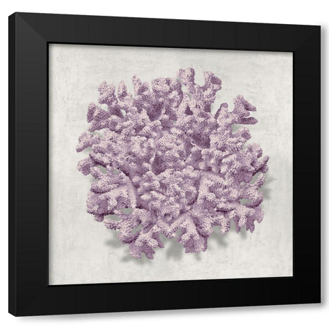 Coral Amethyst II Black Modern Wood Framed Art Print with Double Matting by Kelly, Caroline