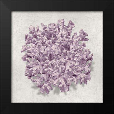 Coral Amethyst II Black Modern Wood Framed Art Print by Kelly, Caroline