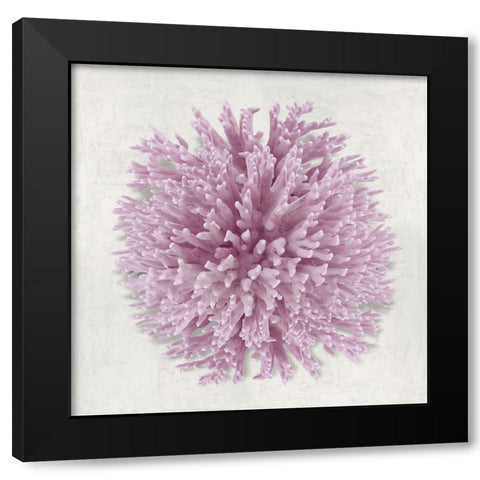 Coral Blush I Black Modern Wood Framed Art Print with Double Matting by Kelly, Caroline