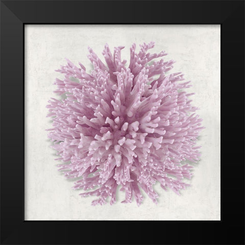 Coral Blush I Black Modern Wood Framed Art Print by Kelly, Caroline