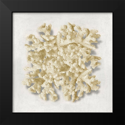 Coral Cream II Black Modern Wood Framed Art Print by Kelly, Caroline