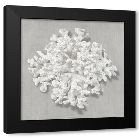 Coral on Gray II Black Modern Wood Framed Art Print with Double Matting by Kelly, Caroline