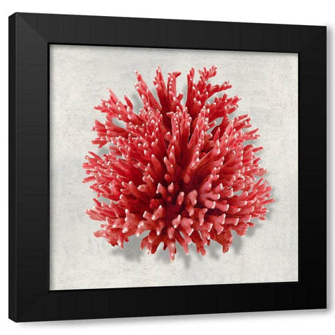 Coral Red I Black Modern Wood Framed Art Print by Kelly, Caroline