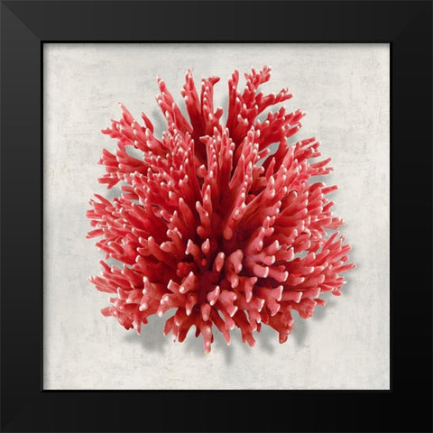 Coral Red I Black Modern Wood Framed Art Print by Kelly, Caroline