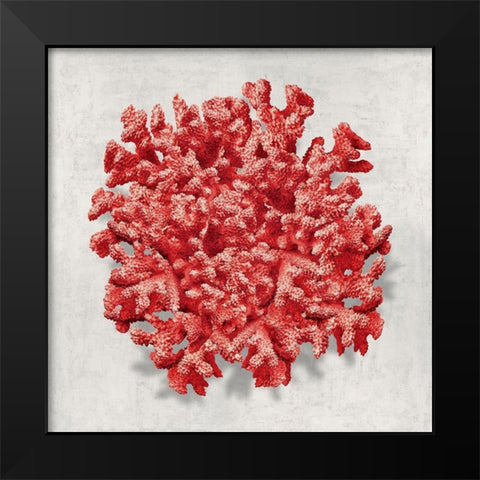 Coral Red II Black Modern Wood Framed Art Print by Kelly, Caroline