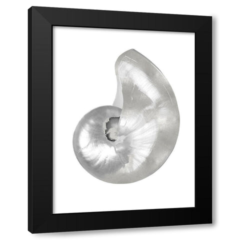 Silver Pearl Shell I Black Modern Wood Framed Art Print with Double Matting by Kelly, Caroline